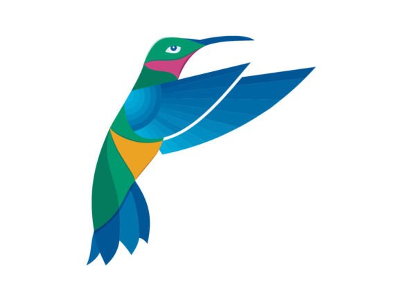 Download Hummingbird Illustration Vector - Bird illustration Collection