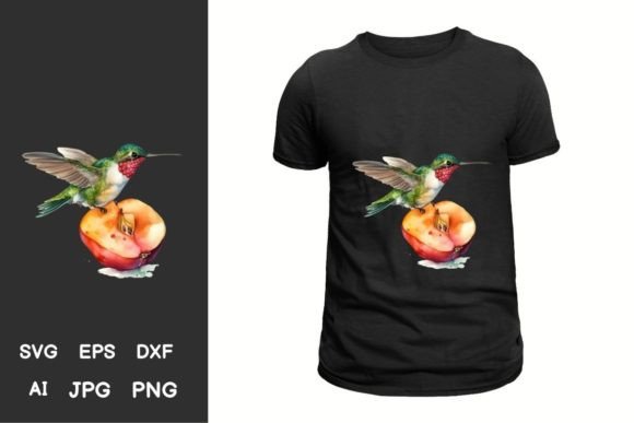 Download Serene Hummingbird Illustration Pack - Bird illustration Collection